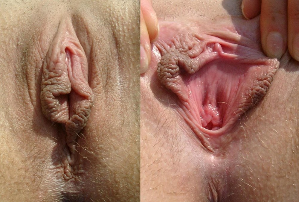 Женские гениталии порно (73 фото)