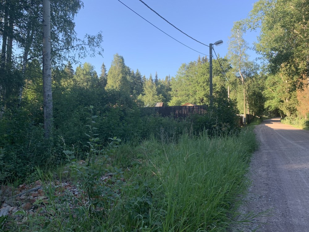 Погода в Гаврилово ЛЕНОБЛАСТЬ