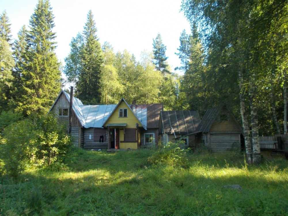 Посёлок Озерки Ленинградская область