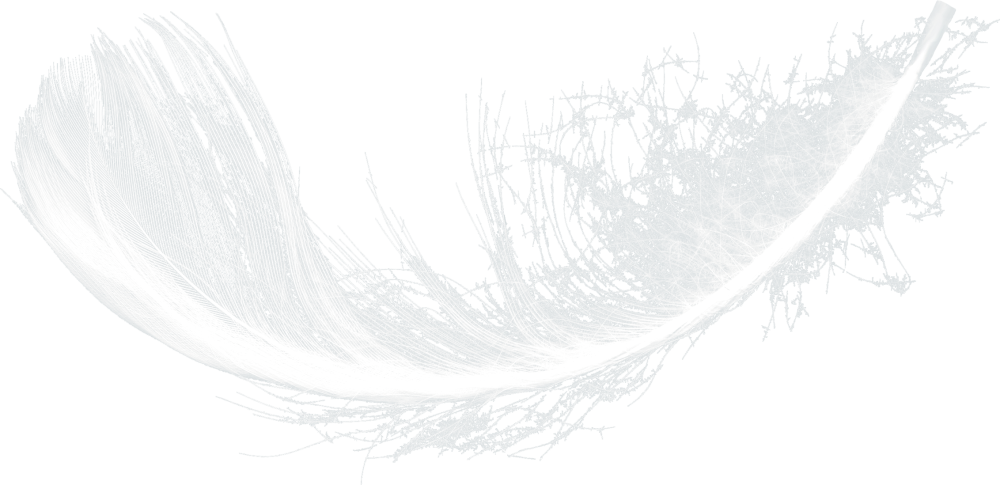 Морозные узоры на прозрачном фоне