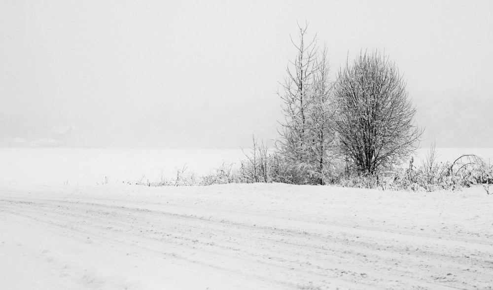 Метель в поле