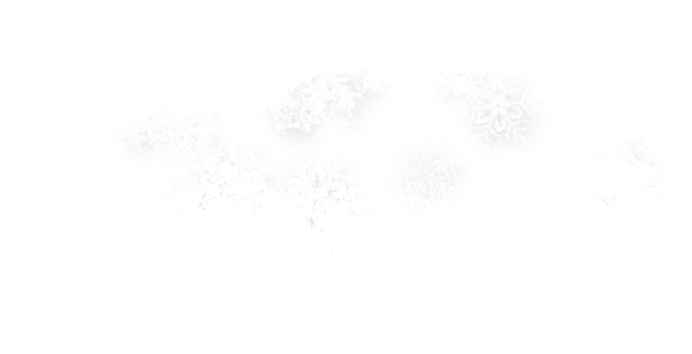 Спиши расставляя пропущенные буквы