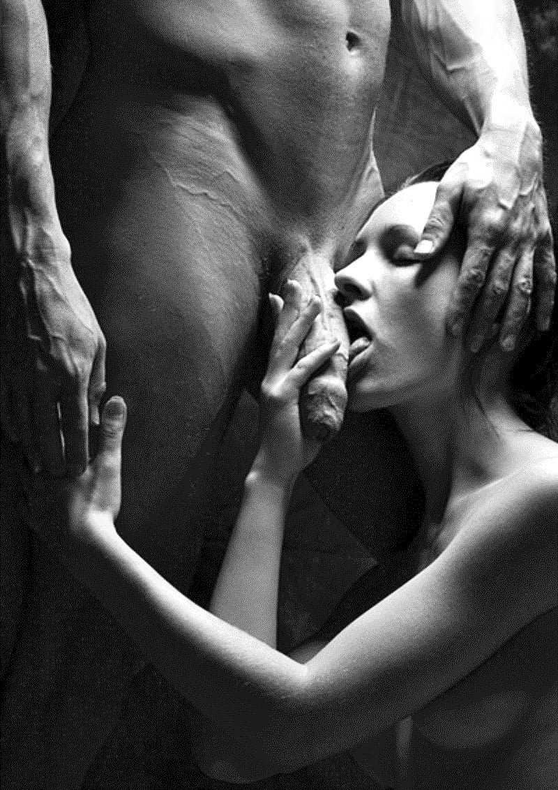 A Day in the Life of Director Stella хентай