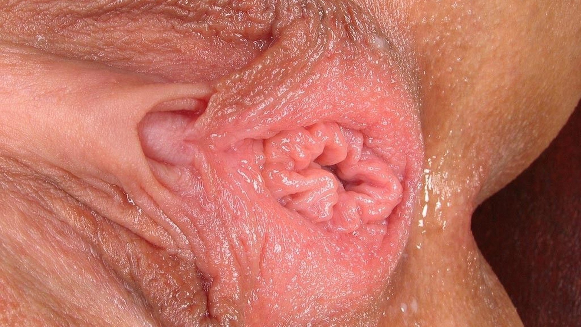 Макро фото девственной вагины