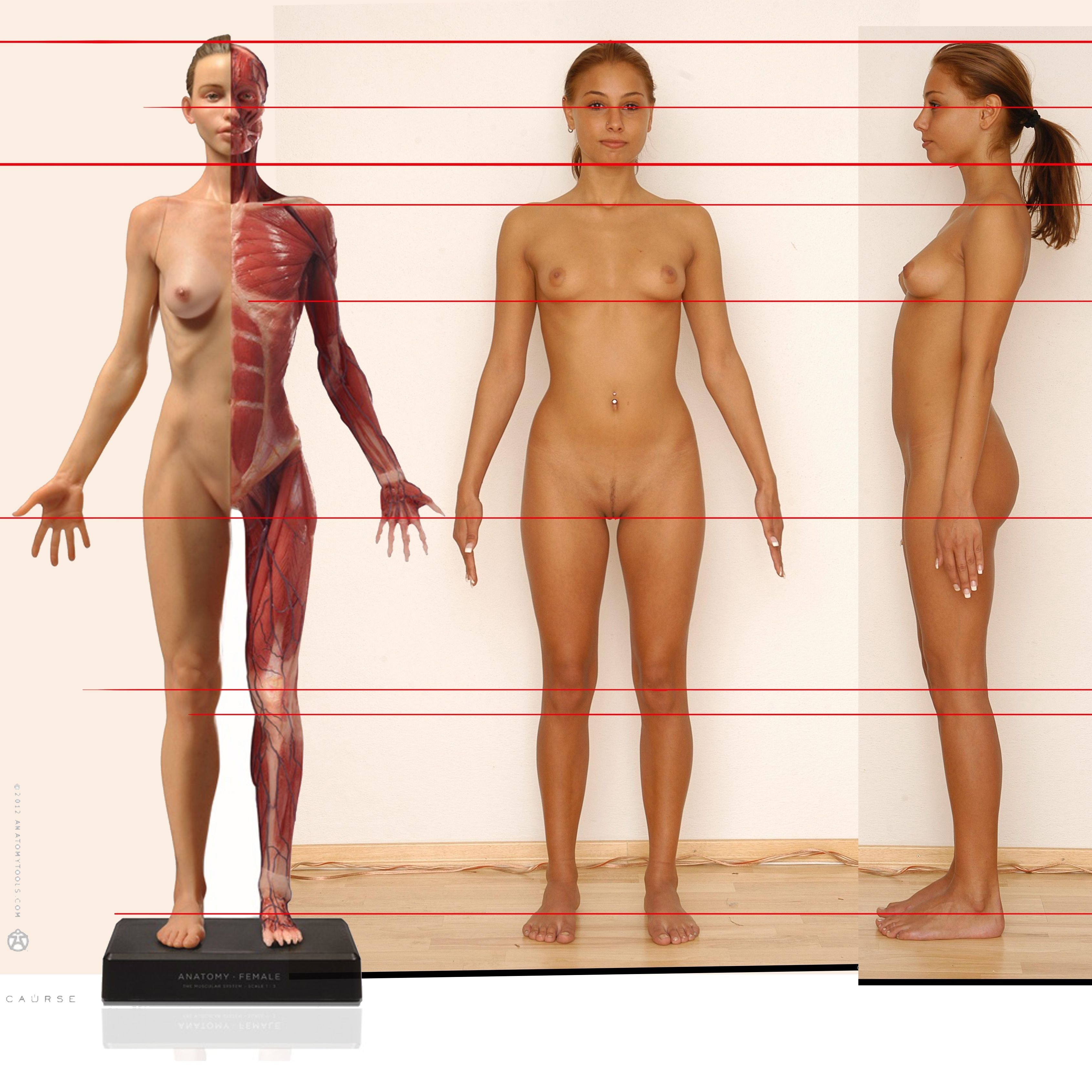 голая девушка на анатомии (100) фото