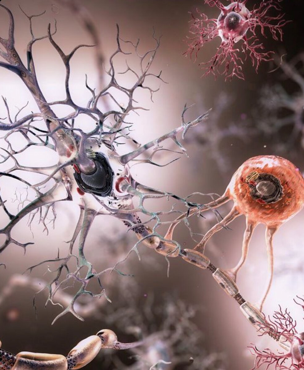 Эмили Эддисон порнозвезда