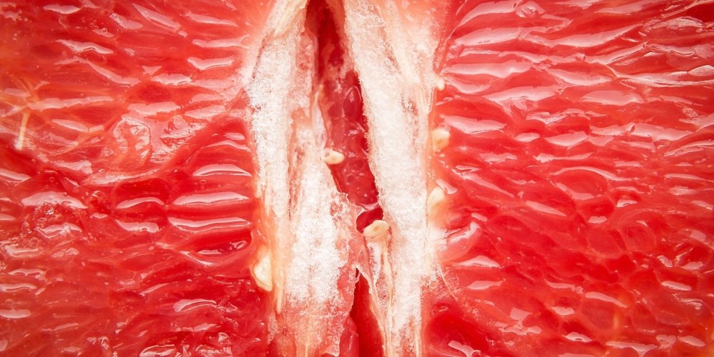 Бежевая роза Макросъемка