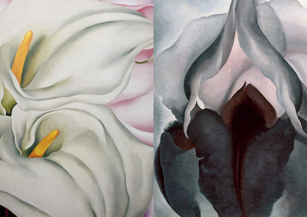 Красивые половые