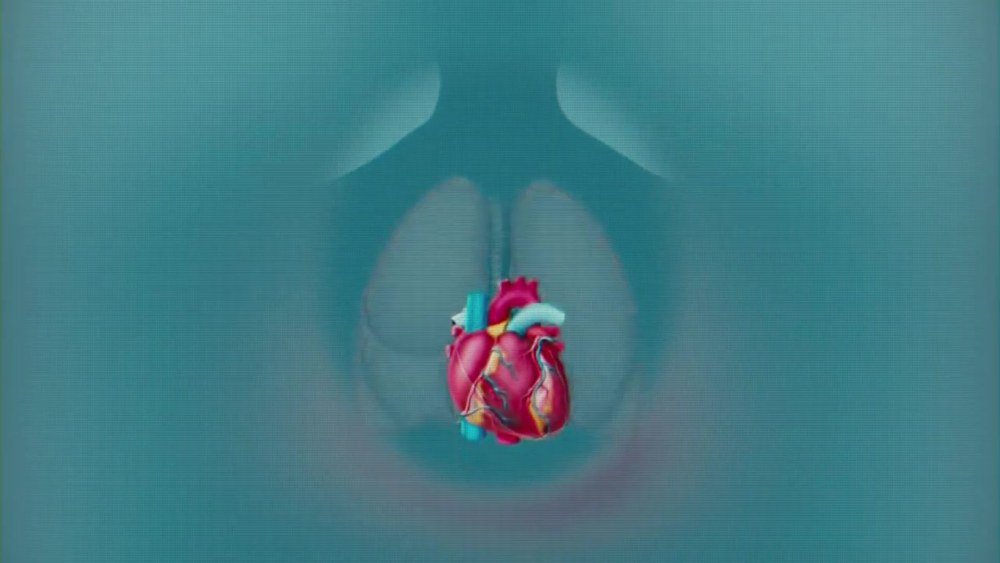 Нежная киска крупным планом