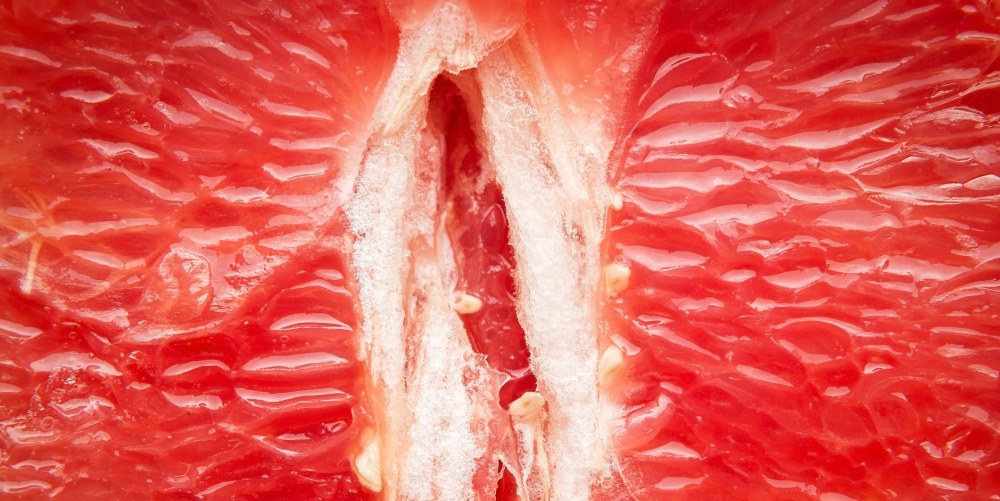 Хейден Уинтерс актриса