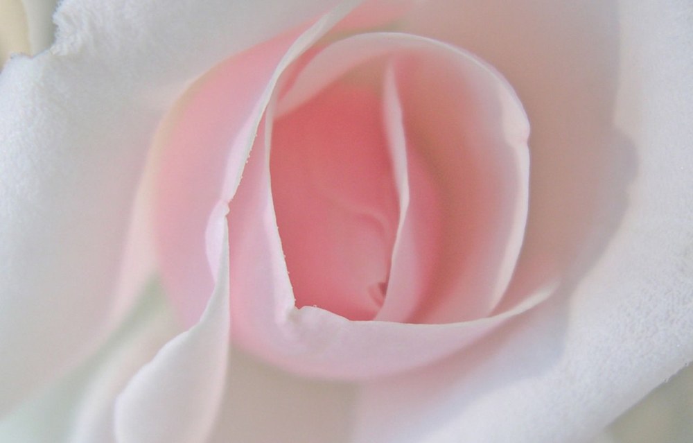 Необыкновенные вагины