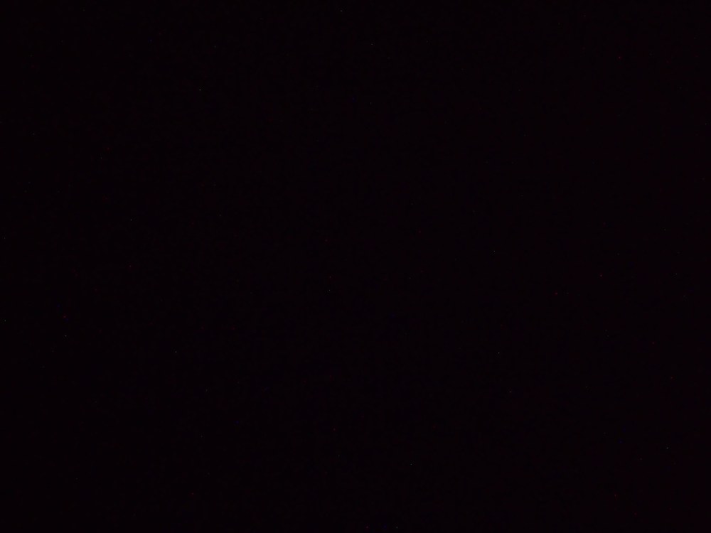 Джоди Гассон горничная