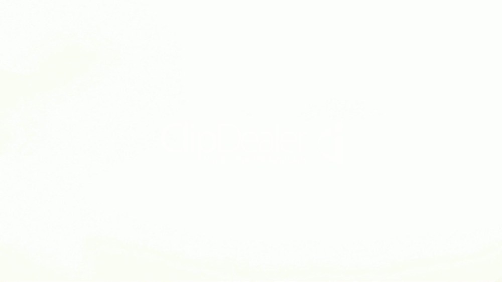 Радар-детектор Megaforcer z-11st