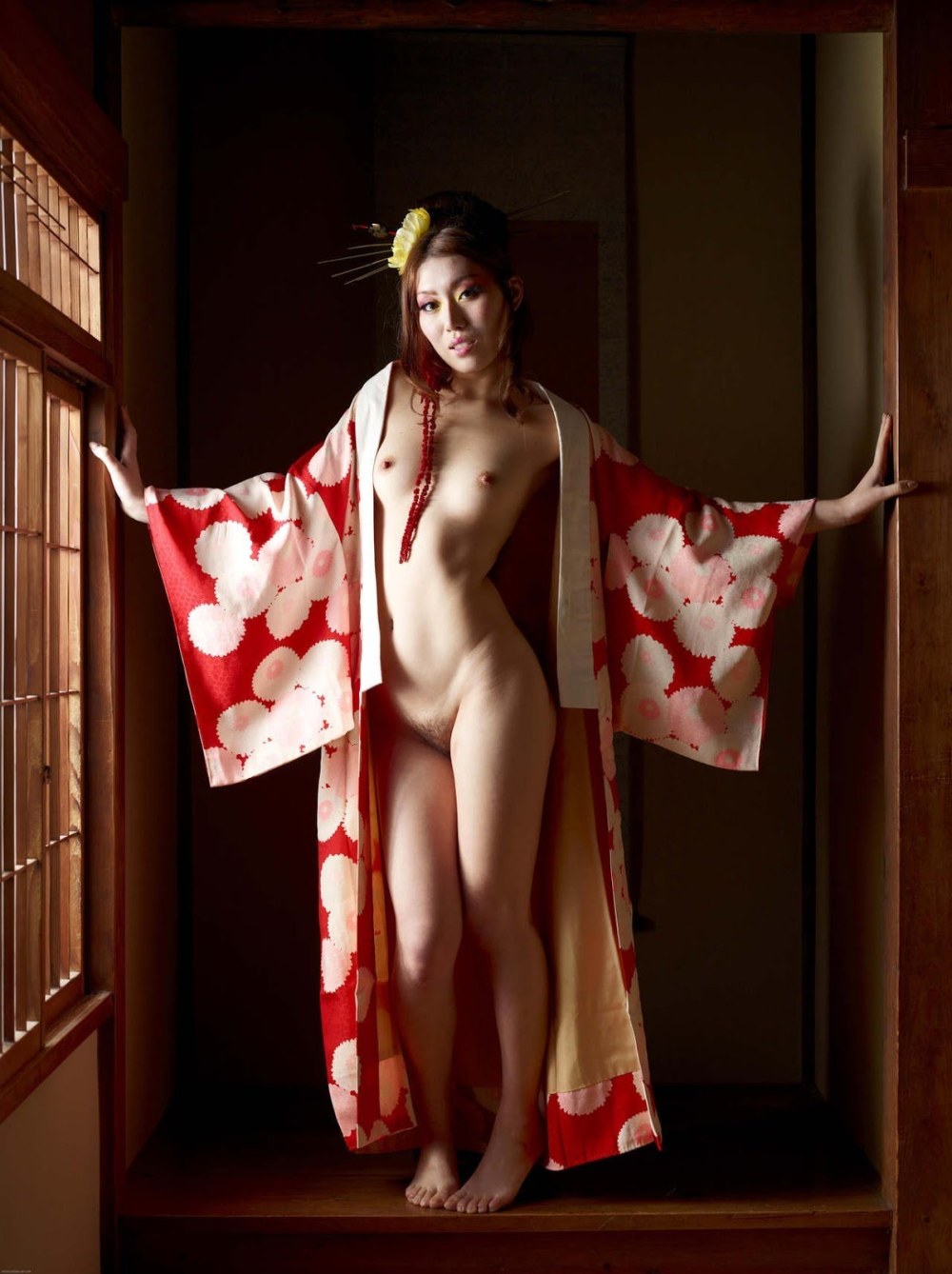 Япония гейши порно фото 10