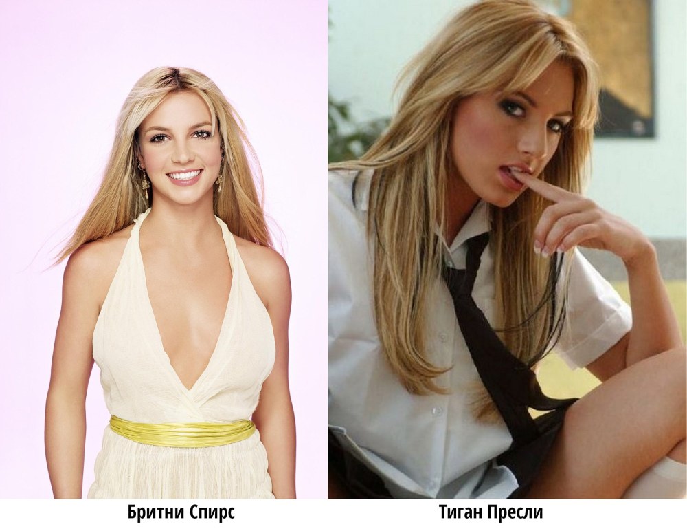 Лиза Энн (Лиза Энн корпора