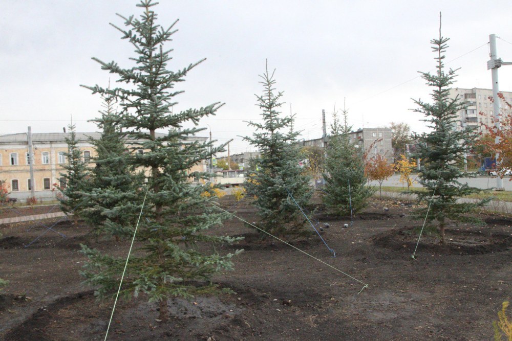 Брелок Mongoose LS 9000d