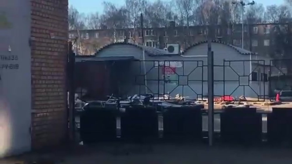 Алина Нуянзина Саранск