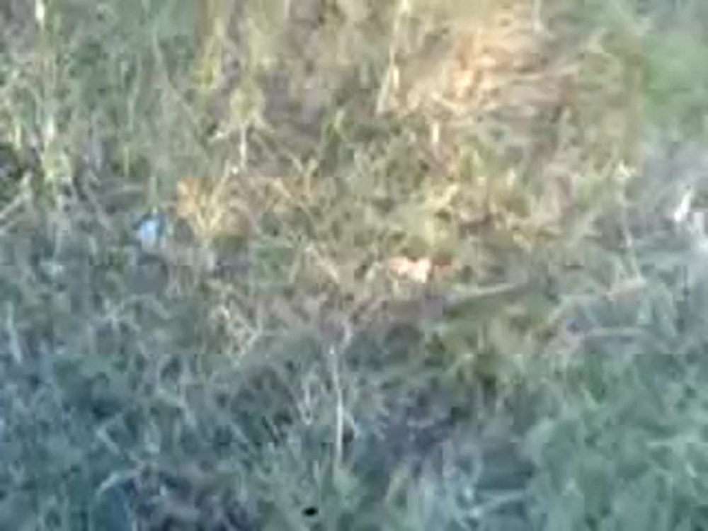 Уравнение Липпмана Швингера