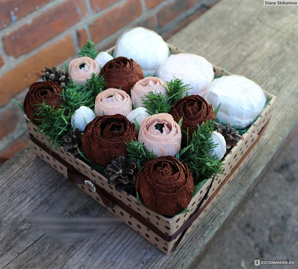 Анастасия Виноградова модель плюс