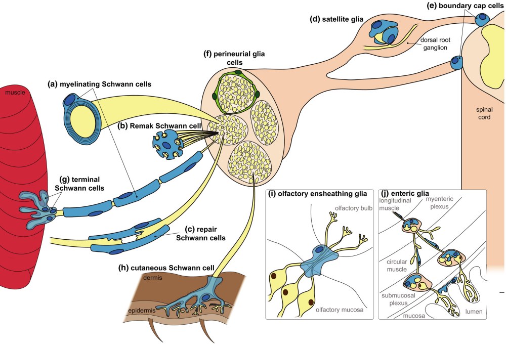 Бреа Беннет порнозвезда