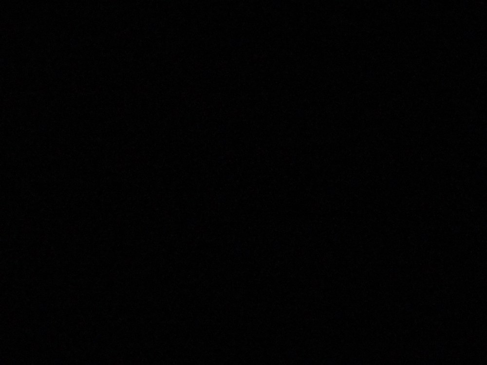 Беркова 2021