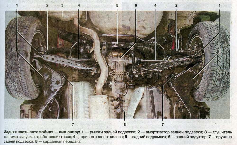 Толстые волосатые старушки