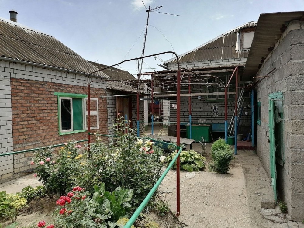 Нифка заставка Порнхаб