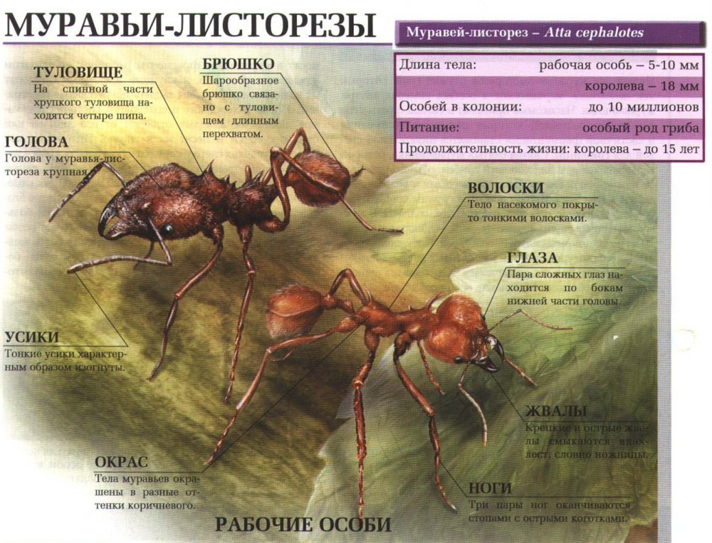 Самолет на черном фонн