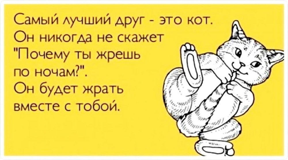 Гурбангулы Бердымухаммедов украл кораллы
