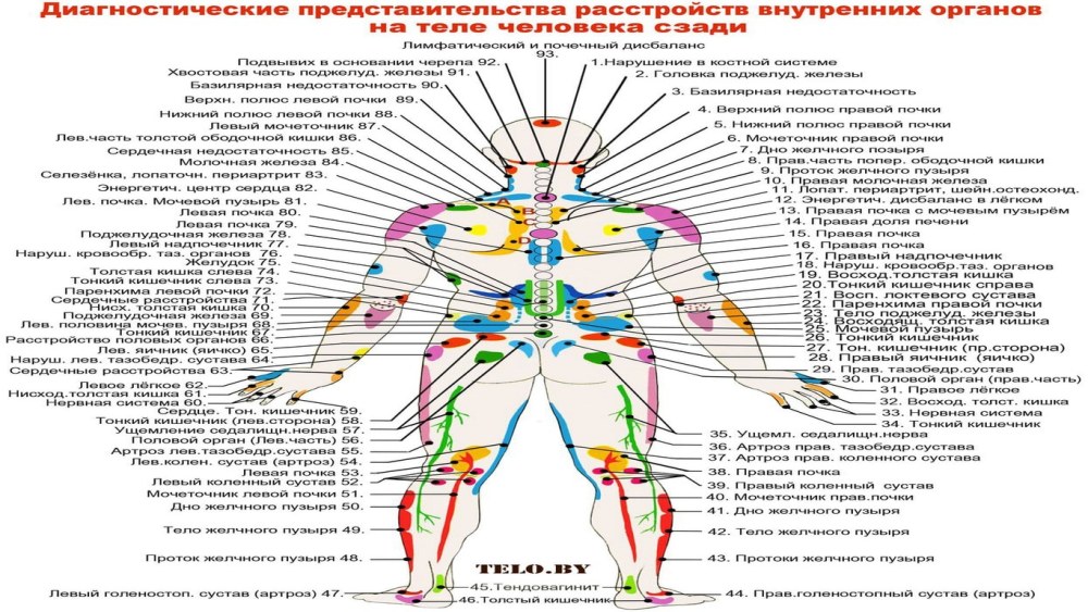 Вольный стиль Иватоби