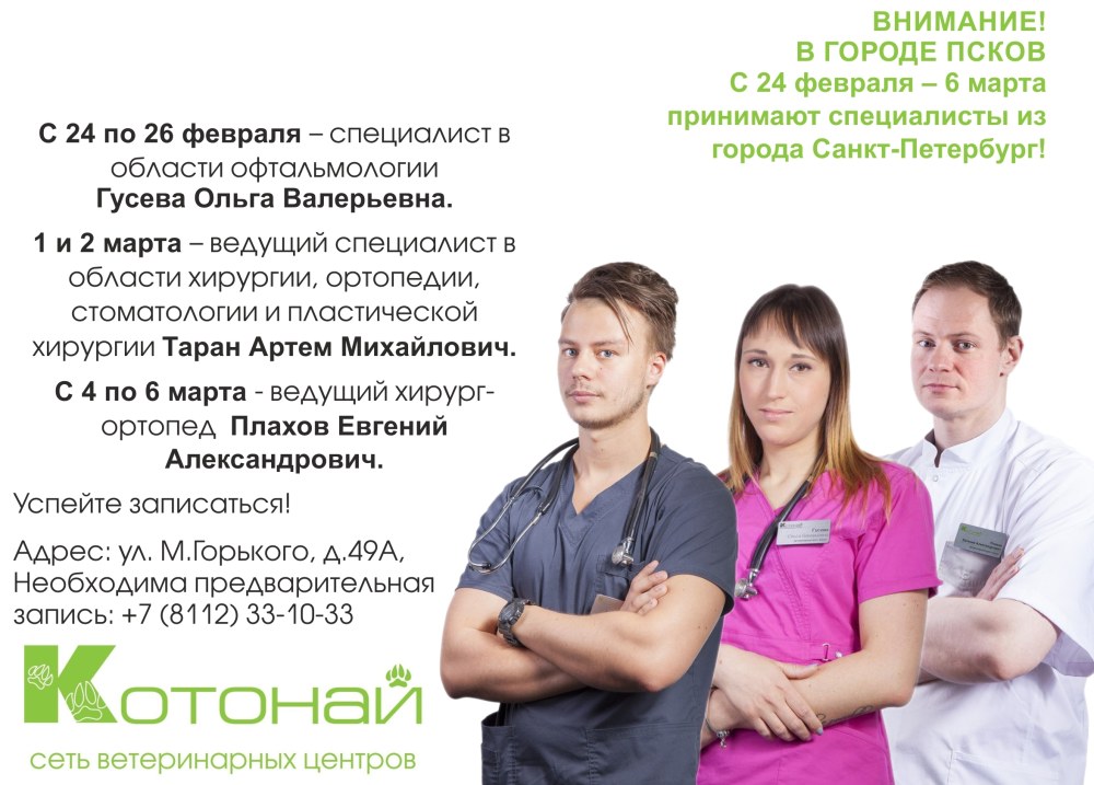 Доска объявлений зум