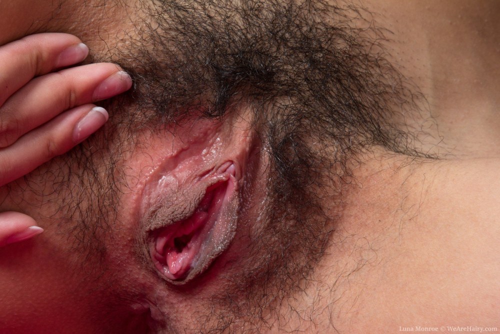Волосатая вагина крупно