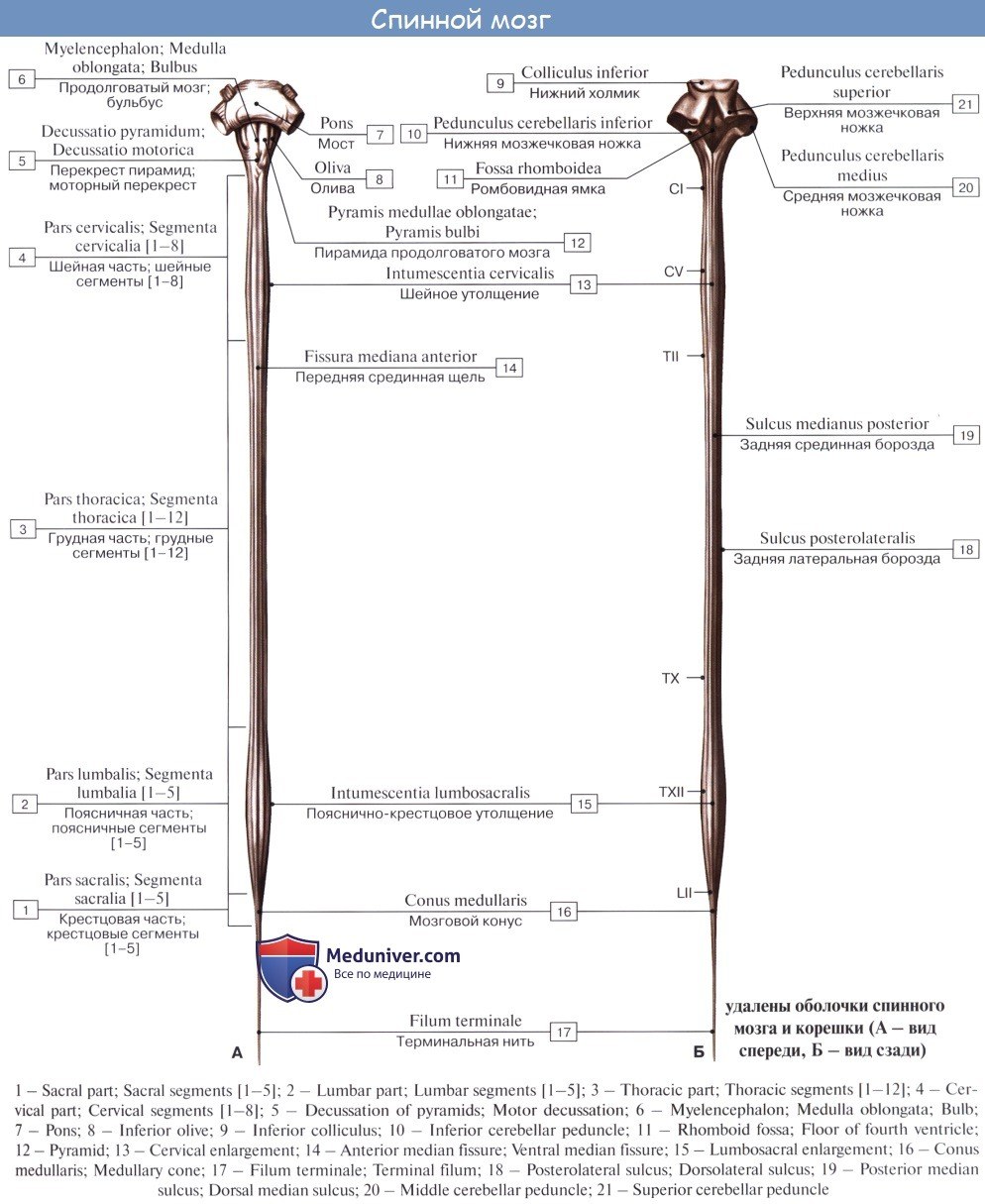 Влагалище русских зрелых. Женщин