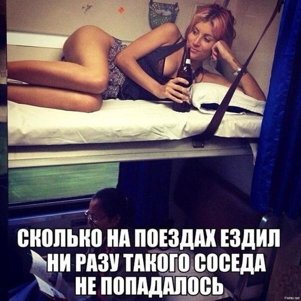 Выкупил купе для котов