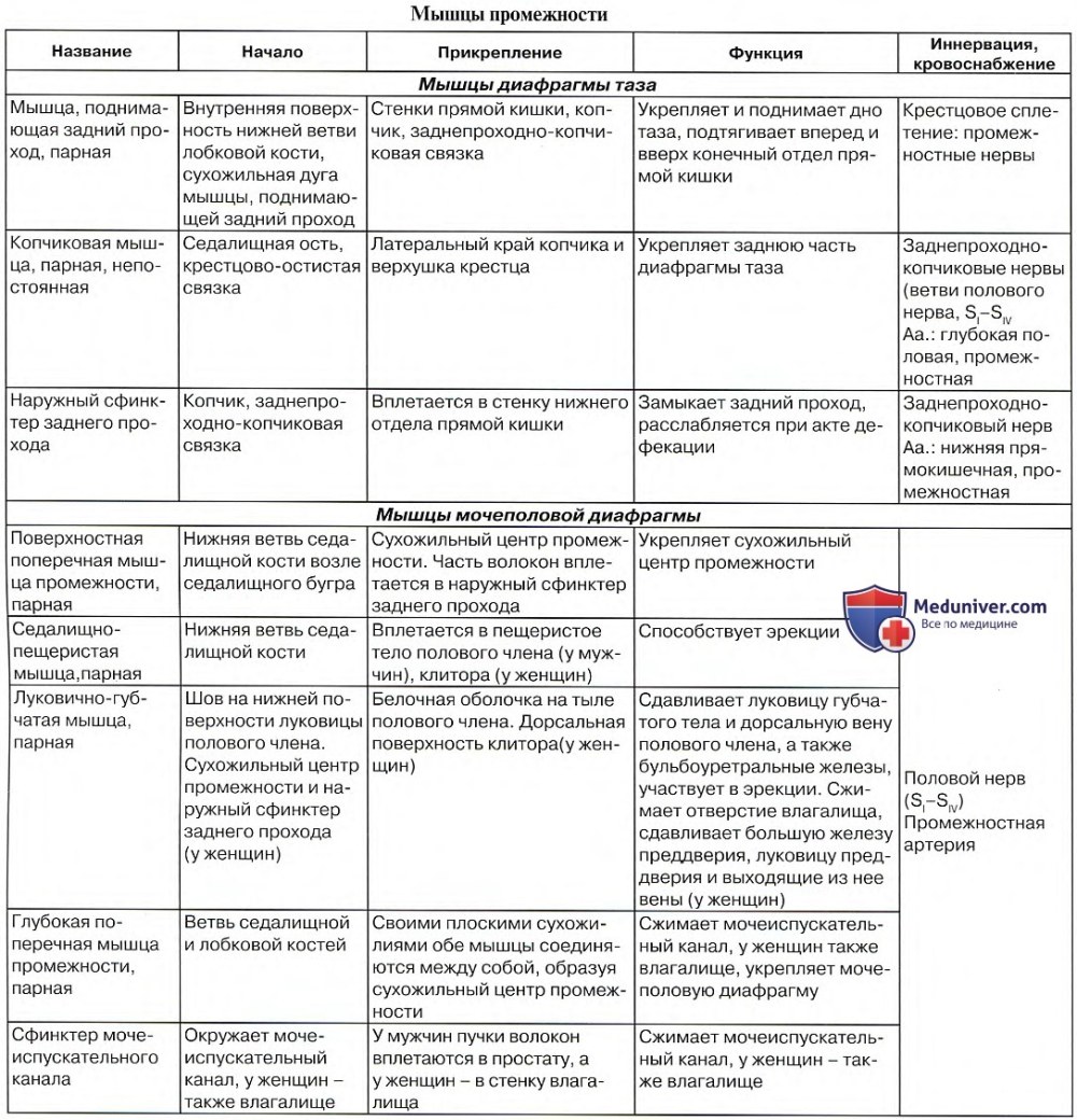 Нижняя Апертура малого таза