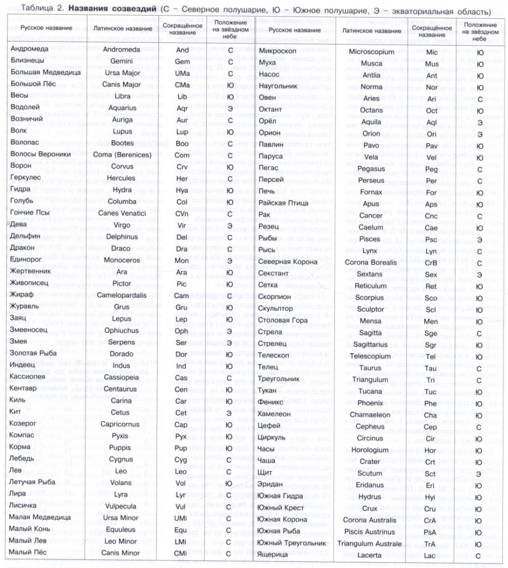 Шейный позвонки строение медунивер