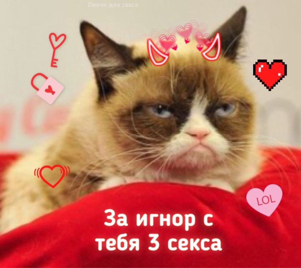 Цуканова кот порно