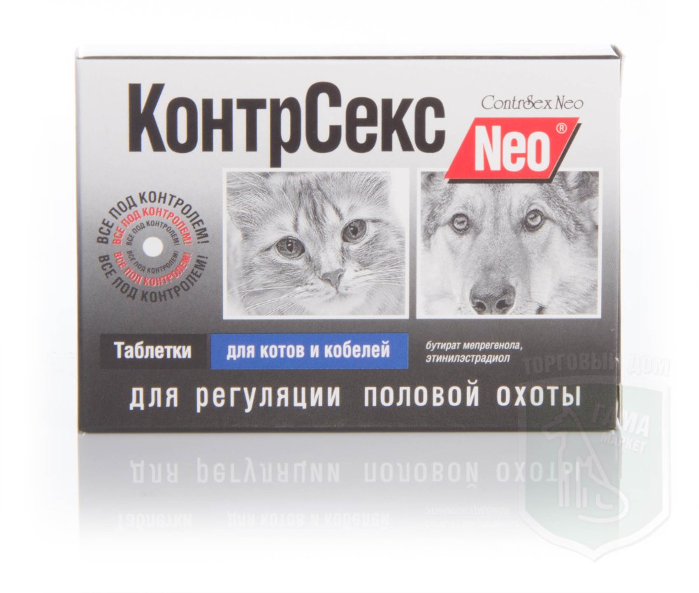 Соблазнительный кот