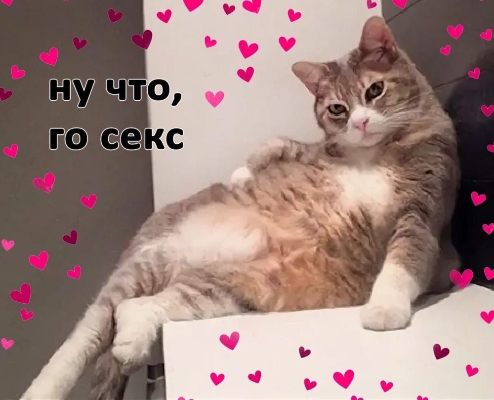 Анна Цуканова-Котт горячие