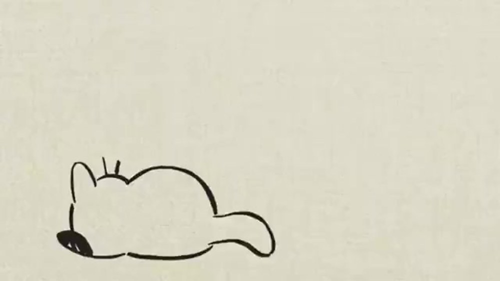 Язык общения кошек