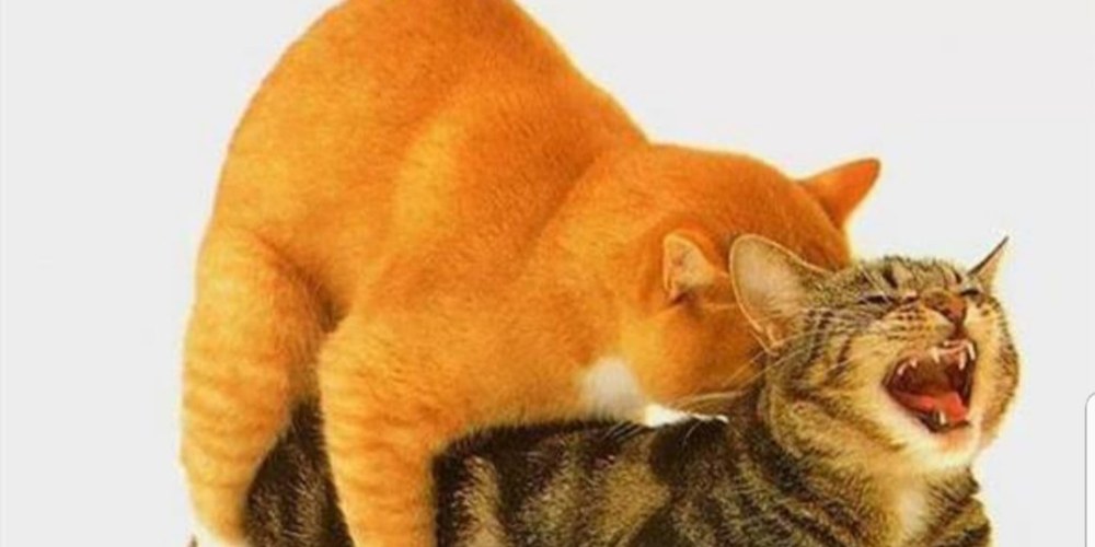 Предупреждающие знаки ПДД 2021