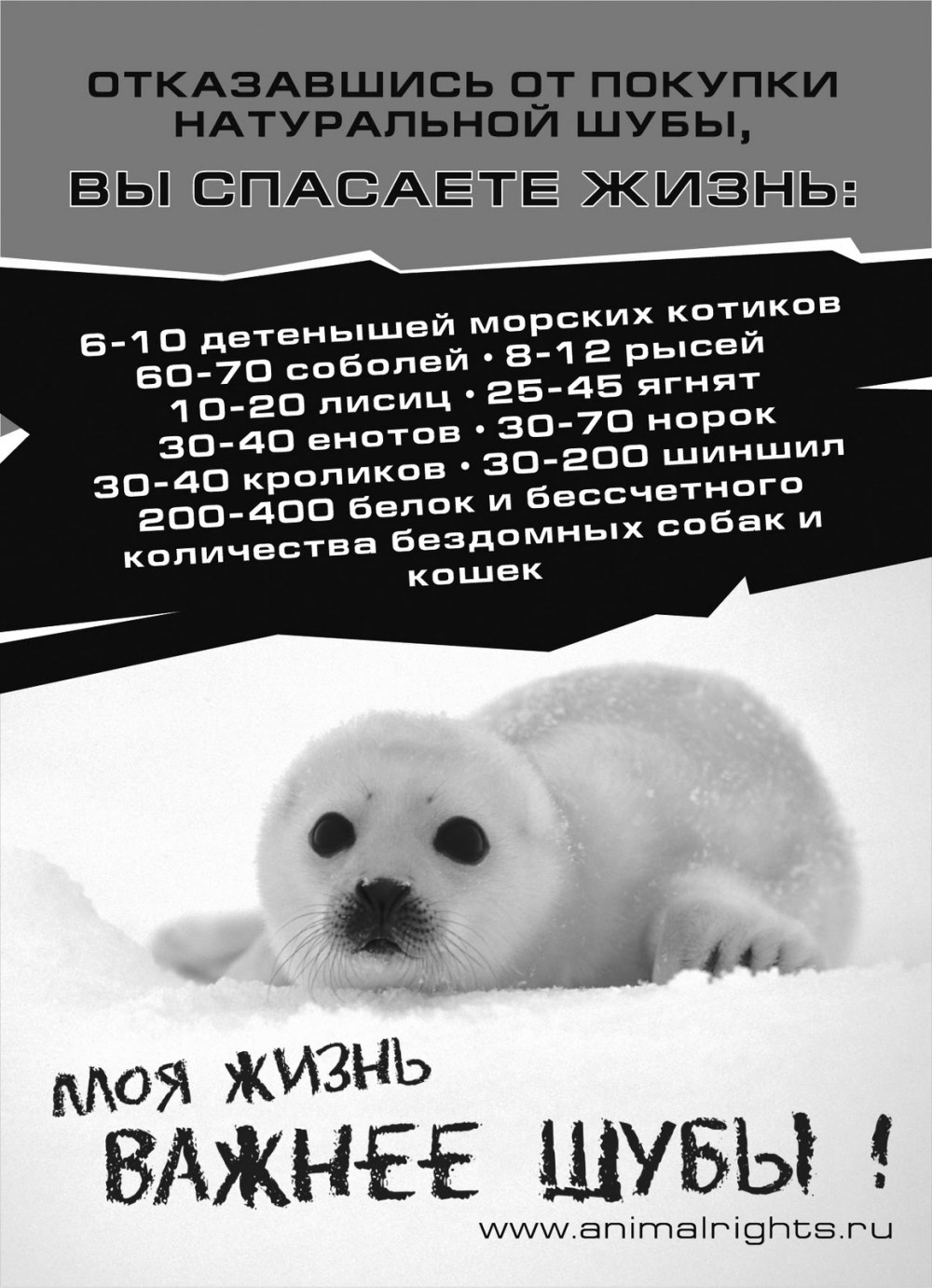 Марина путзингер