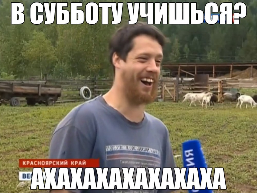 Живу бедно сыр с плесенью