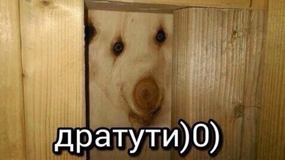 Дратуйте картинка