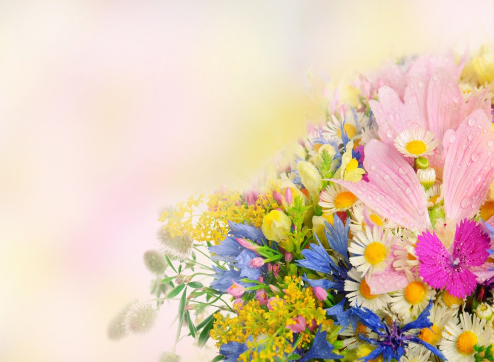 Путь самолета из Москвы в Калининград