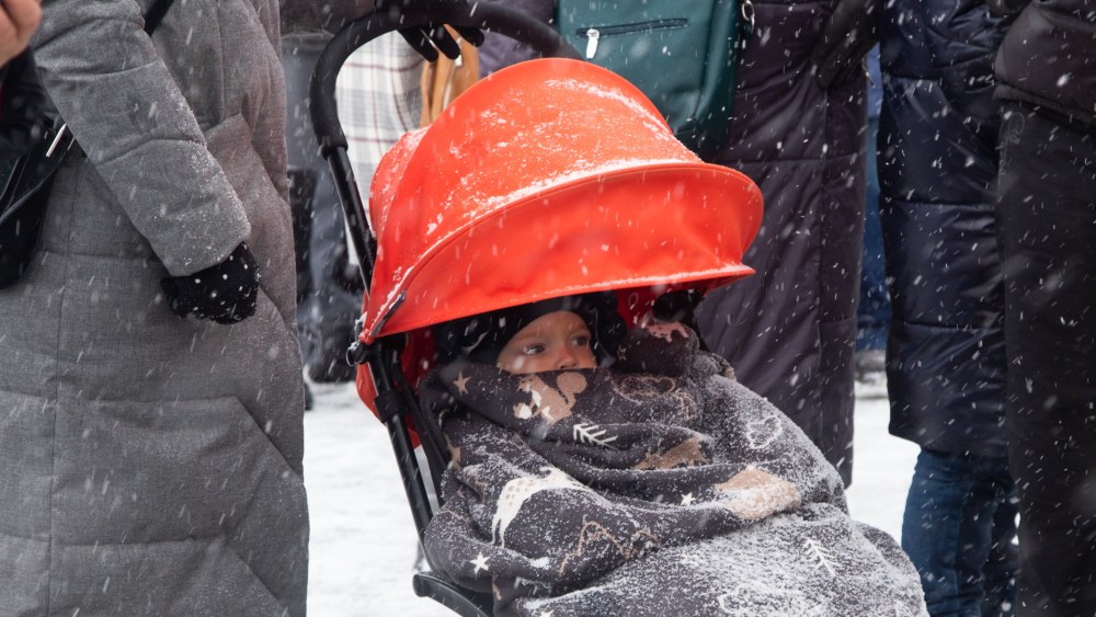 Хлоя вевриер волосатая