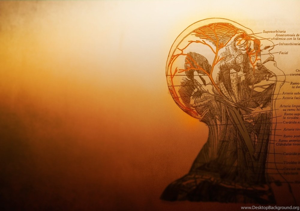 PV контроллер заряда ls1024rp