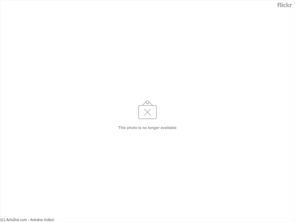 Мемы с надписями