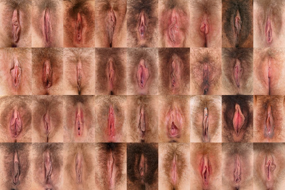 Вагина бодипозитивщицы