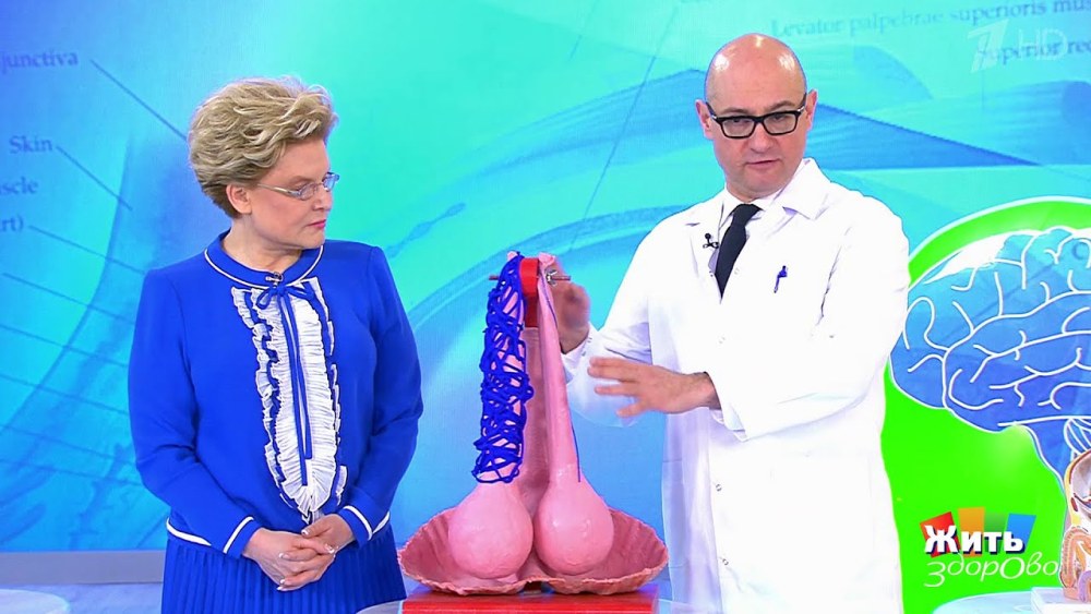 Доктор Елена Малышева